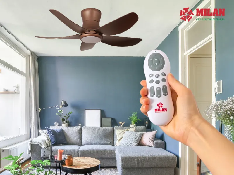 quat-tran-remote-tien-loi